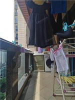 曼哈顿15楼 317平 1130万