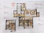 中梁滨江壹号11楼 168平 788万