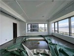 揽悦园 8楼 223平米 1070万